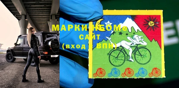 стаф Алексин