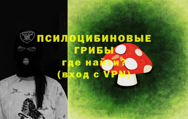стаф Алексин