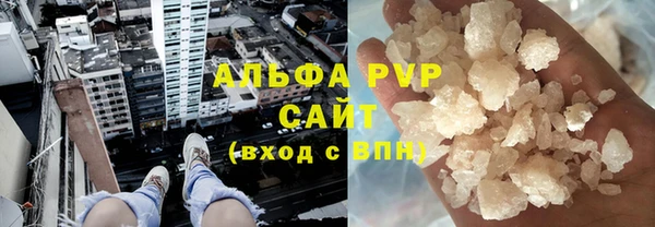 стаф Алексин