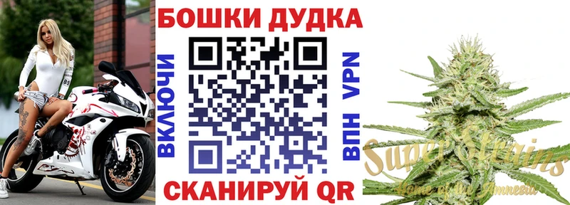 Бошки Шишки планчик Апатиты